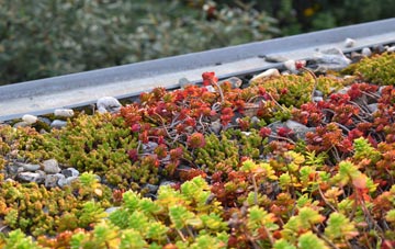 the cost of Nether Langwith green roof installation