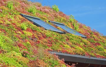 Nether Langwith living roof systems